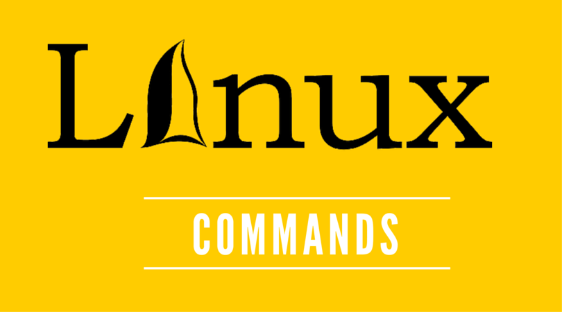 debian 10 sudo command not found
